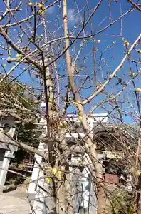 比佐豆知神社(三重県)(2025年02月04日(火) 10時03分51秒投稿)