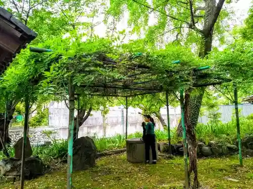 闇之森八幡社の庭園