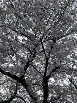 日蓮宗　浄運寺(東京都)