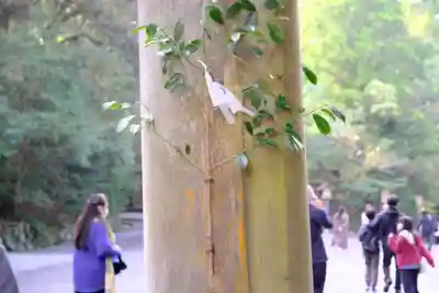 伊勢神宮内宮（皇大神宮）(三重県)