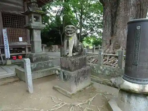 綾部八幡神社の狛犬