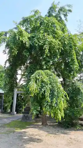 香取神社(茨城県)