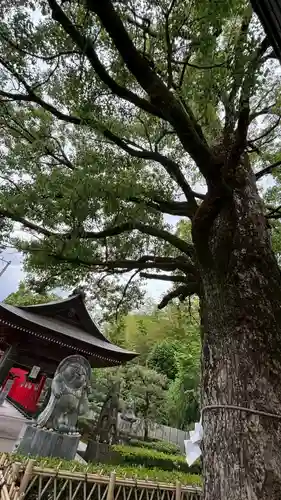 田村神社(香川県)