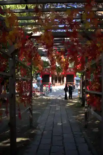 越谷香取神社(埼玉県)