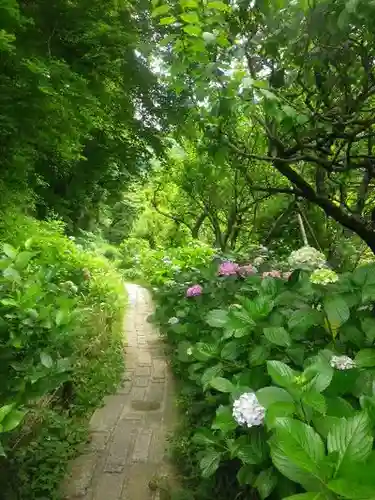 瑞泉寺の庭園