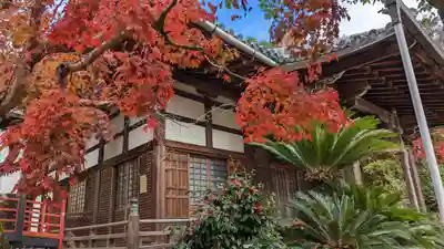 三明院(京都府)