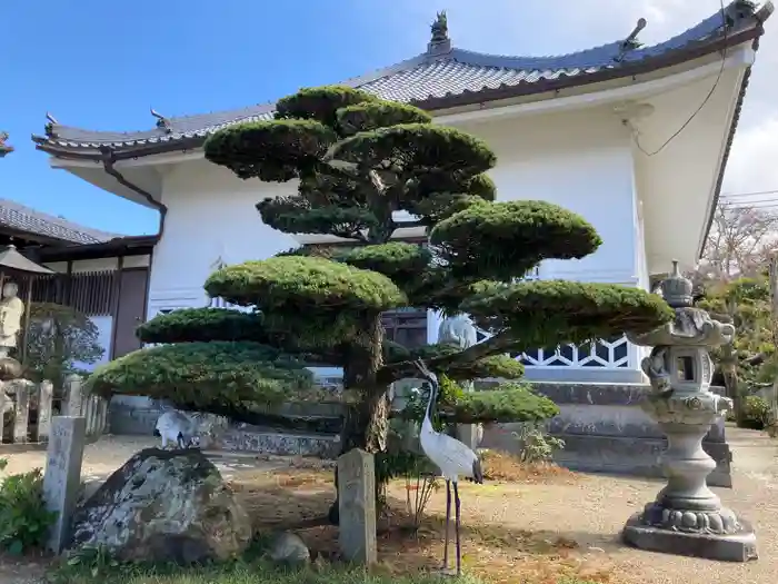 宝持院の建物その他