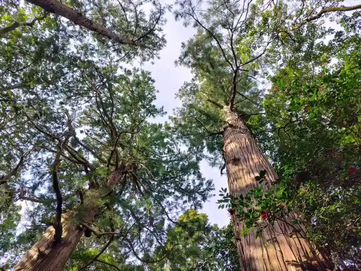 若狭彦神社(上社)の{uncategorized: "未分類", other: "その他", undefined: "問題あり", building: "その他建物", grave: "お墓", sacred_gate: "鳥居", guardian: "狛犬", statue: "像", buddha: "仏像", history: "歴史", nature: "自然", garden: "庭園", animal: "動物", pagoda: "塔", temizu: "手水舎", mountain_gate: "山門・神門", sanctuary: "本殿・本堂", subordinate: "末社・摂社", art: "芸術", scenery: "景色", jizo: "地蔵", ema: "絵馬", goshuin: "御朱印", omikuji: "おみくじ", items: "授与品その他", amulet: "お守り", goshuincho: "御朱印帳", eats: "食事", festival: "お祭り", votive_dance: "神楽", shichigosan: "七五三参", wedding: "結婚式", experience: "体験その他", initially: "初詣", around: "周辺", anti_infection: "感染症対策"}