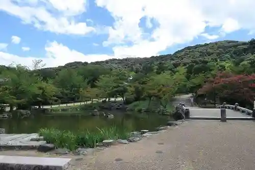 八坂神社(祇園さん)の庭園