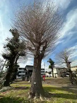車返稲荷神社の自然
