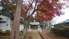 御霊神社の建物その他