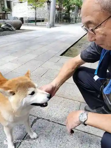 彌彦神社　(伊夜日子神社)の動物