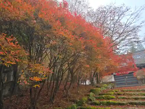 高源寺(兵庫県)