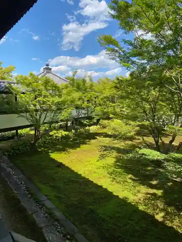 妙覺寺（妙覚寺）の庭園