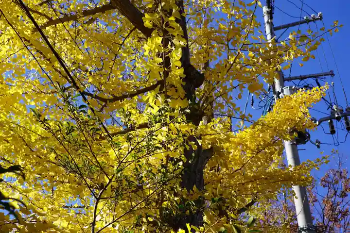 阿邪訶根神社の自然