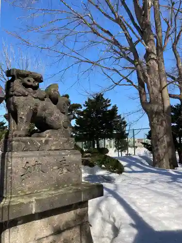 江南神社の狛犬