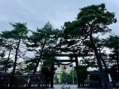 白石神社の鳥居