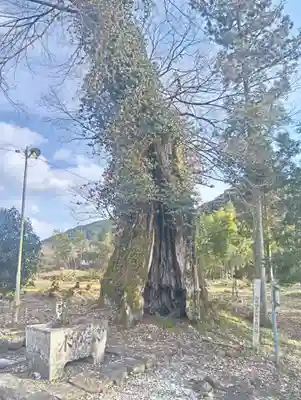 県神社(岐阜県)