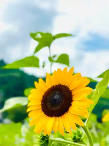 洲原神社(岐阜県)