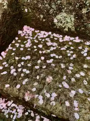 土津神社｜こどもと出世の神さま(福島県)