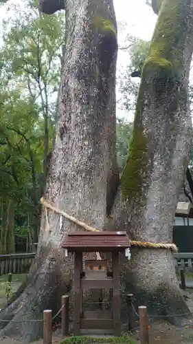 伊弉諾神宮(兵庫県)