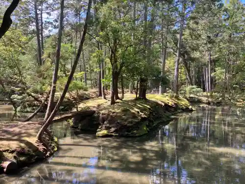 西芳寺(京都府)