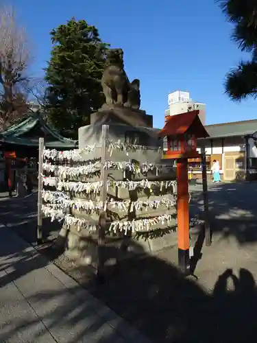 草加神社のおみくじ