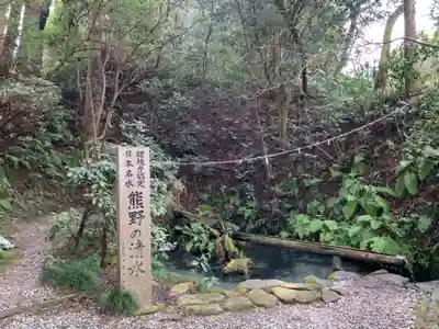 熊野神社の自然