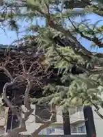 相応寺(神奈川県)