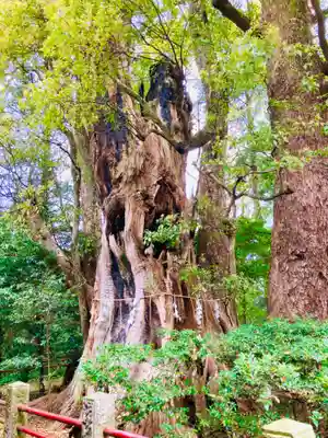 神崎神社(千葉県)