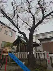 相武台神社(神奈川県)