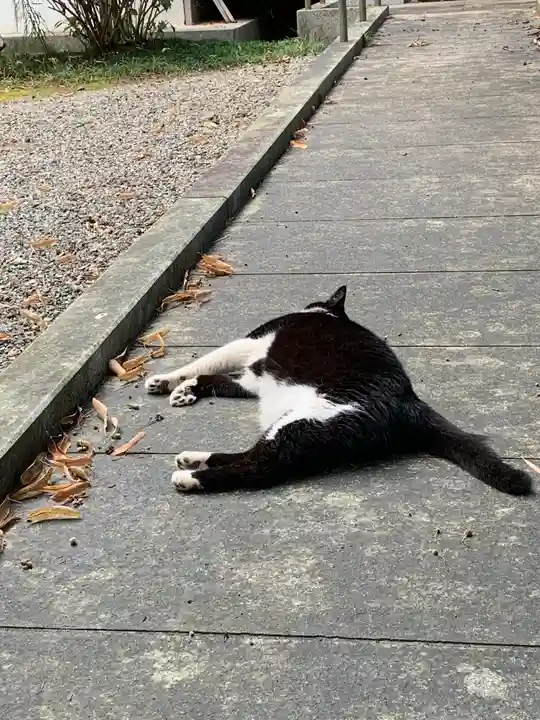 長林寺(西宮長林寺)の動物