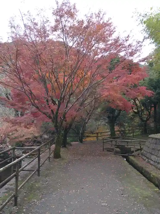 猫神社(鹿児島県)