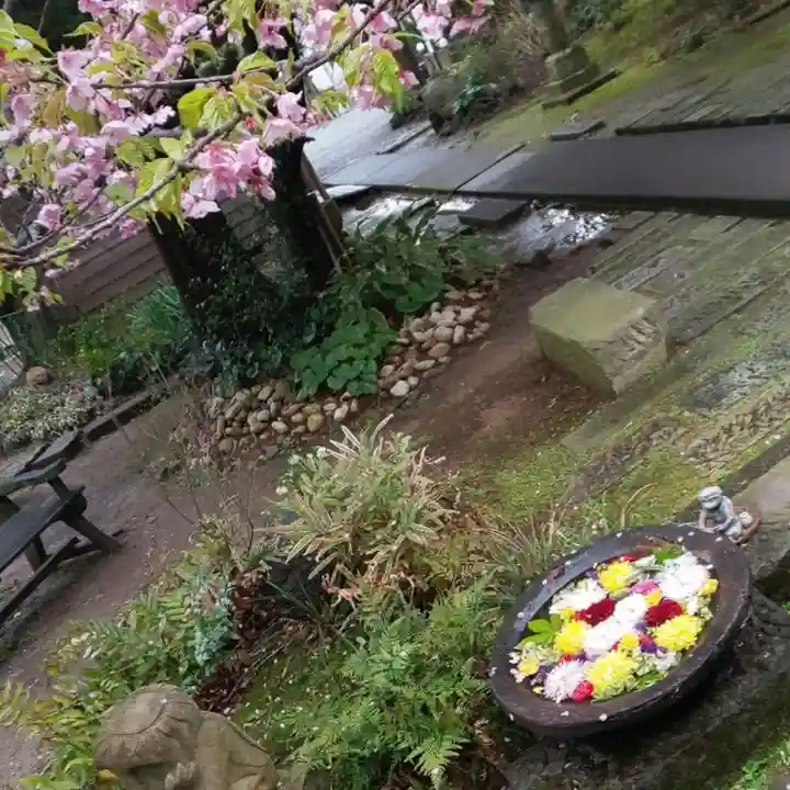 かっぱの寺 栖足寺の自然