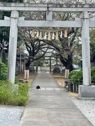 前玉神社の鳥居