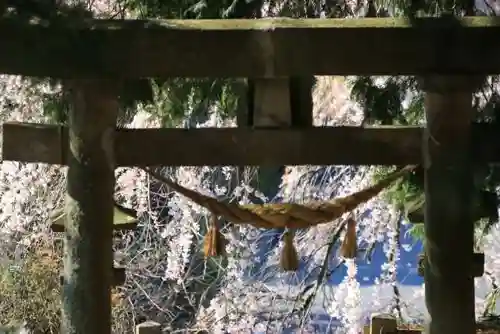 熊野神社の鳥居