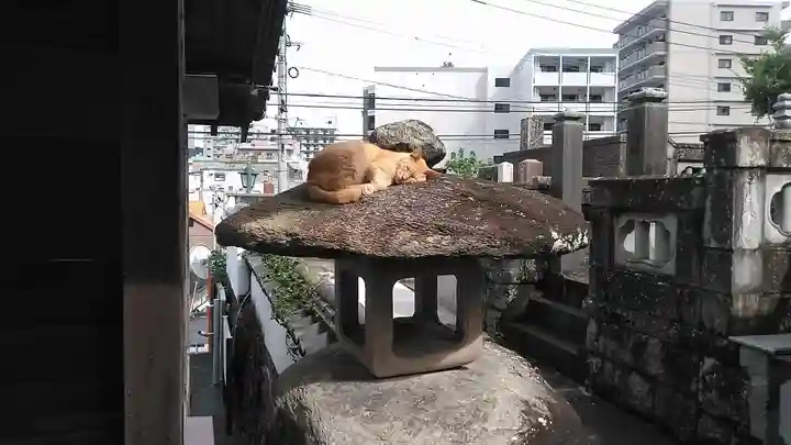 延命寺(長崎県)
