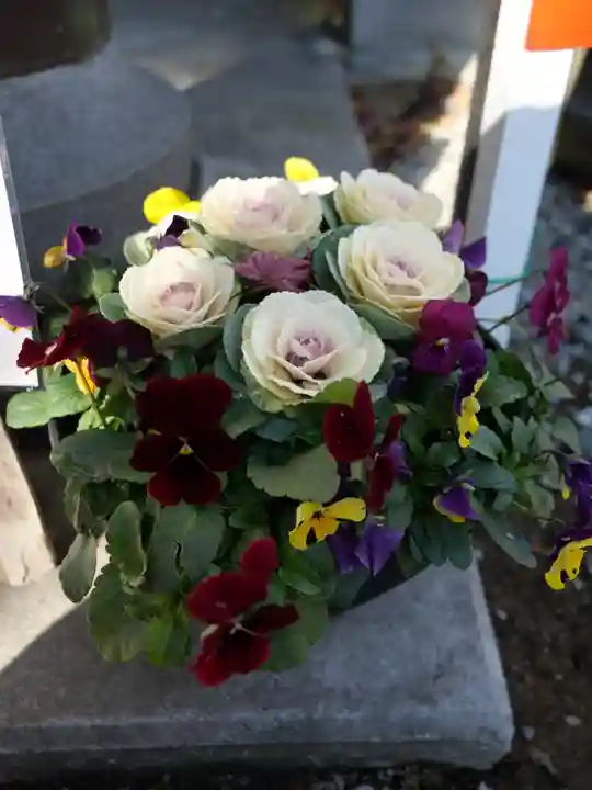 普門寺(切り絵御朱印発祥の寺)(愛知県)