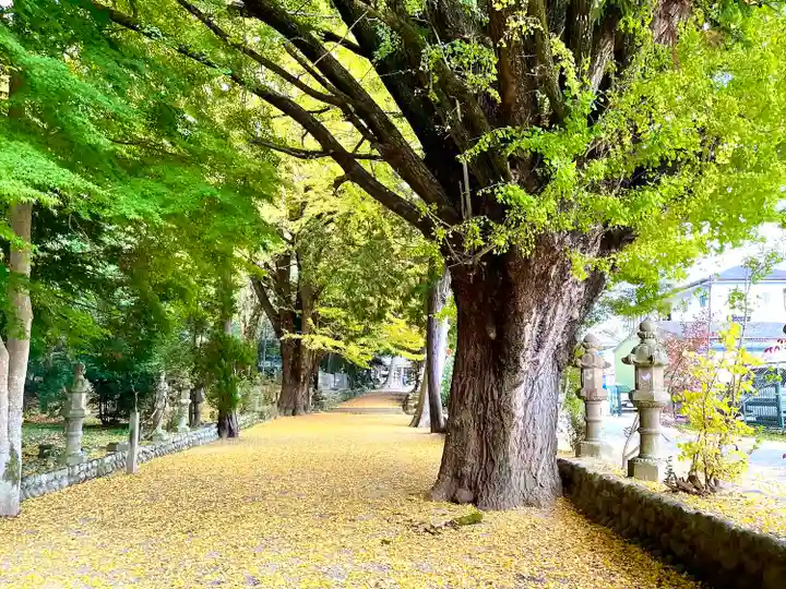積田神社の自然