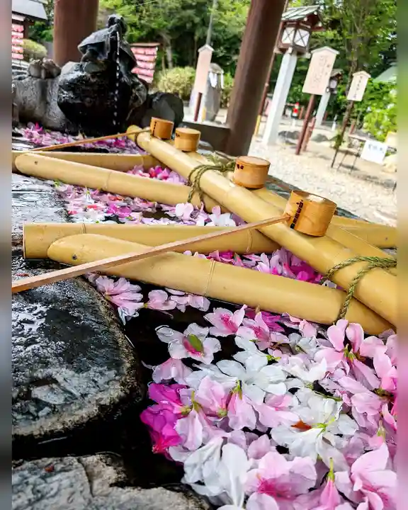 櫻木神社(千葉県)