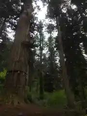 羽黒山五重塔(出羽三山神社)(山形県)