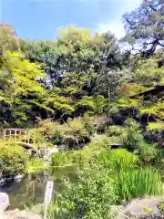 日輪寺の庭園