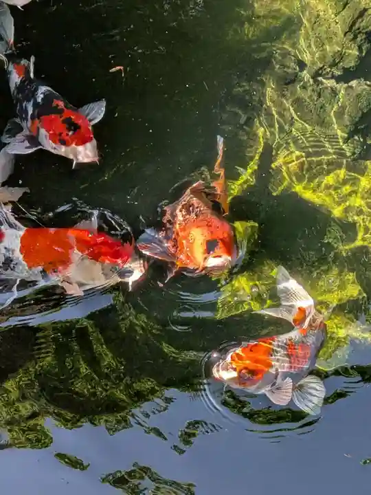 禅定院(東京都)