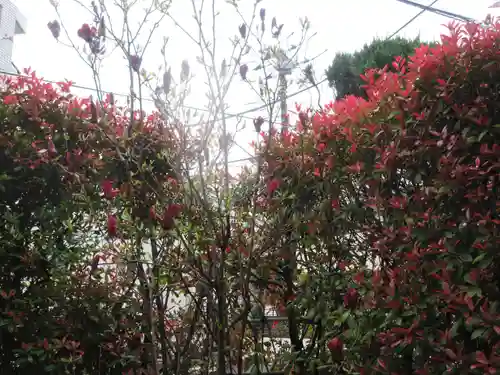 東光寺のその他建物