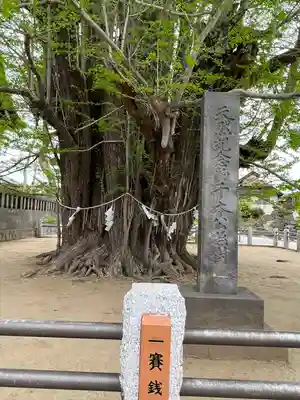 葛飾八幡宮(千葉県)