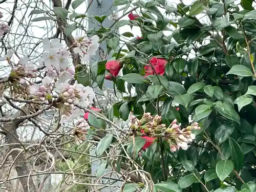 青竜寺(三重県)