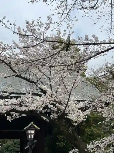 靖國神社(東京都)