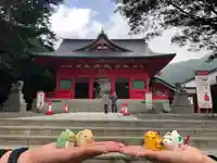 赤城神社のおみくじ