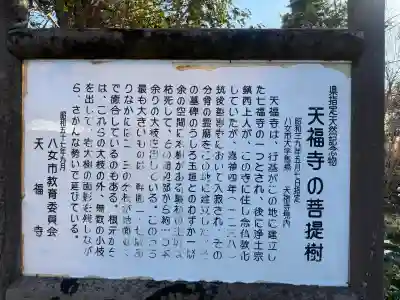 天福寺の{uncategorized: "未分類", other: "その他", undefined: "問題あり", building: "その他建物", grave: "お墓", sacred_gate: "鳥居", guardian: "狛犬", statue: "像", buddha: "仏像", history: "歴史", nature: "自然", garden: "庭園", animal: "動物", pagoda: "塔", temizu: "手水舎", mountain_gate: "山門・神門", sanctuary: "本殿・本堂", subordinate: "末社・摂社", art: "芸術", scenery: "景色", jizo: "地蔵", ema: "絵馬", goshuin: "御朱印", omikuji: "おみくじ", items: "授与品その他", amulet: "お守り", goshuincho: "御朱印帳", eats: "食事", festival: "お祭り", votive_dance: "神楽", shichigosan: "七五三参", wedding: "結婚式", experience: "体験その他", initially: "初詣", around: "周辺", anti_infection: "感染症対策"}