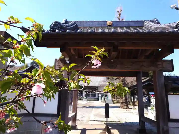 智音寺(栃木県)